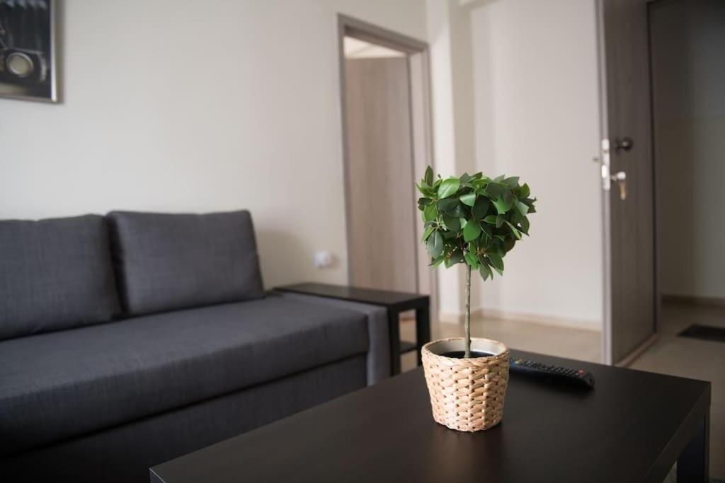 Markopoulosapartments 尼亚·蒙达尼亚 外观 照片