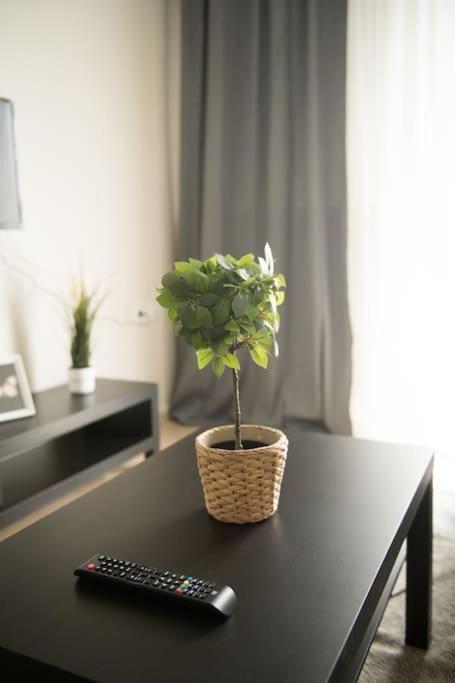 Markopoulosapartments 尼亚·蒙达尼亚 外观 照片